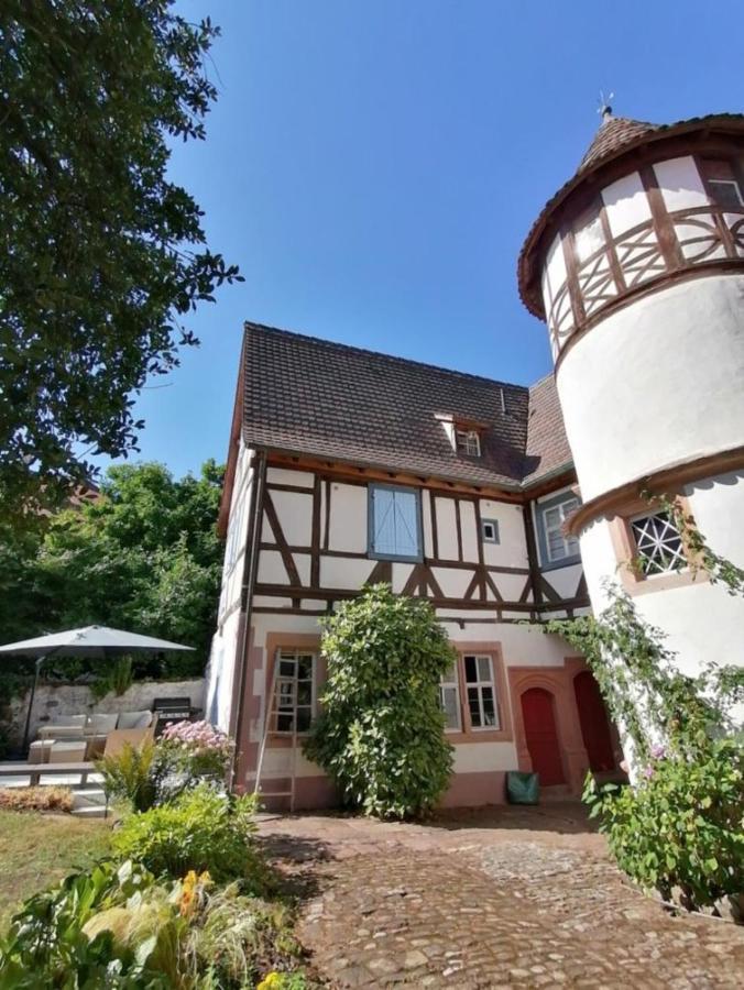 Maison Kobold Xvie Siecle Wissembourg Buitenkant foto