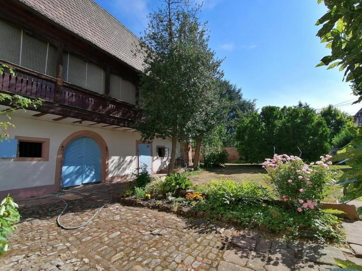 Maison Kobold Xvie Siecle Wissembourg Buitenkant foto