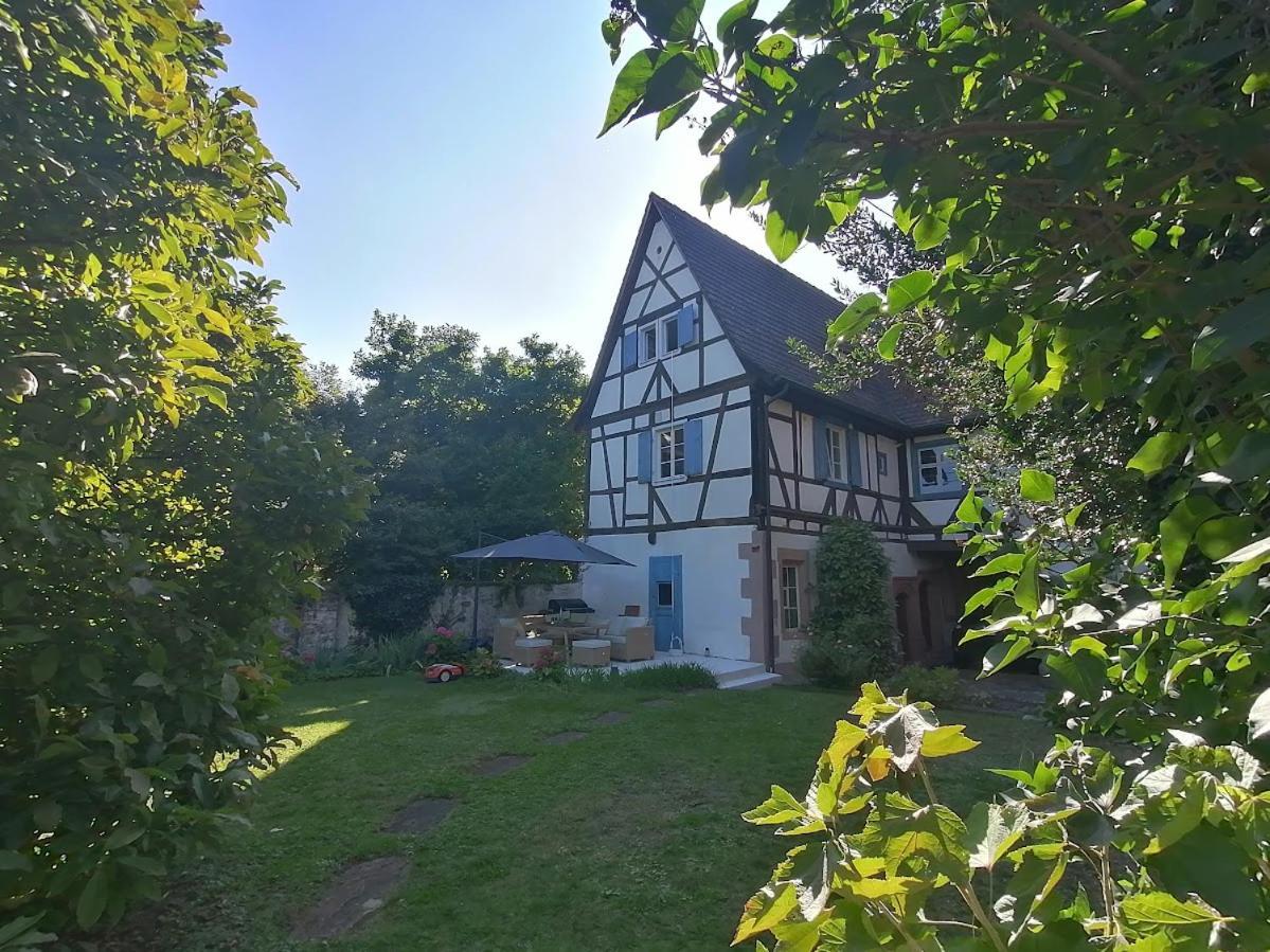 Maison Kobold Xvie Siecle Wissembourg Buitenkant foto