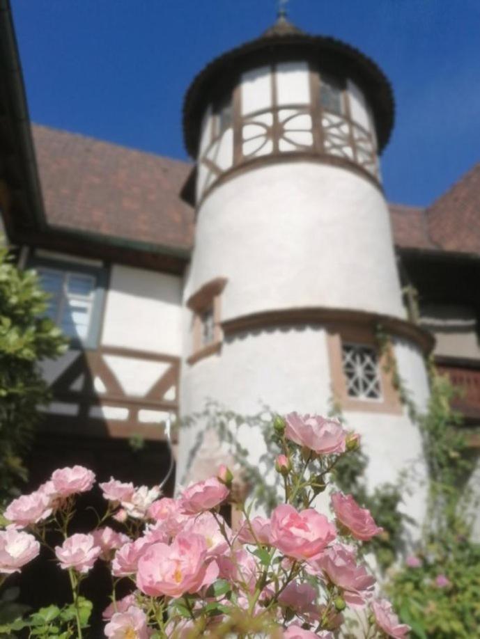Maison Kobold Xvie Siecle Wissembourg Buitenkant foto