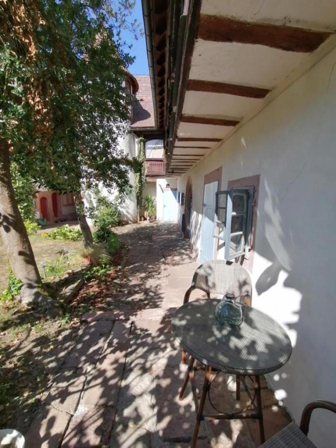 Maison Kobold Xvie Siecle Wissembourg Buitenkant foto
