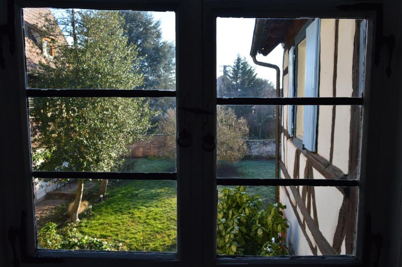 Maison Kobold Xvie Siecle Wissembourg Buitenkant foto