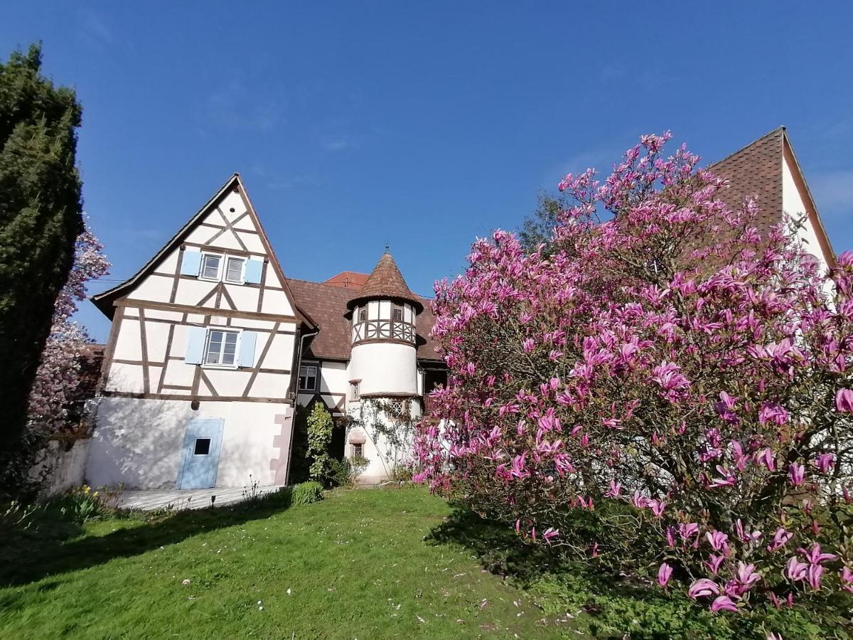 Maison Kobold Xvie Siecle Wissembourg Buitenkant foto